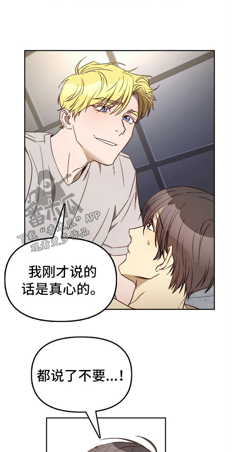 《钻石神偷》第29章够了 第9页