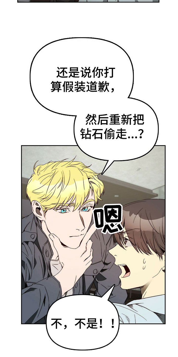 《钻石神偷》第27章营造气氛 第6页