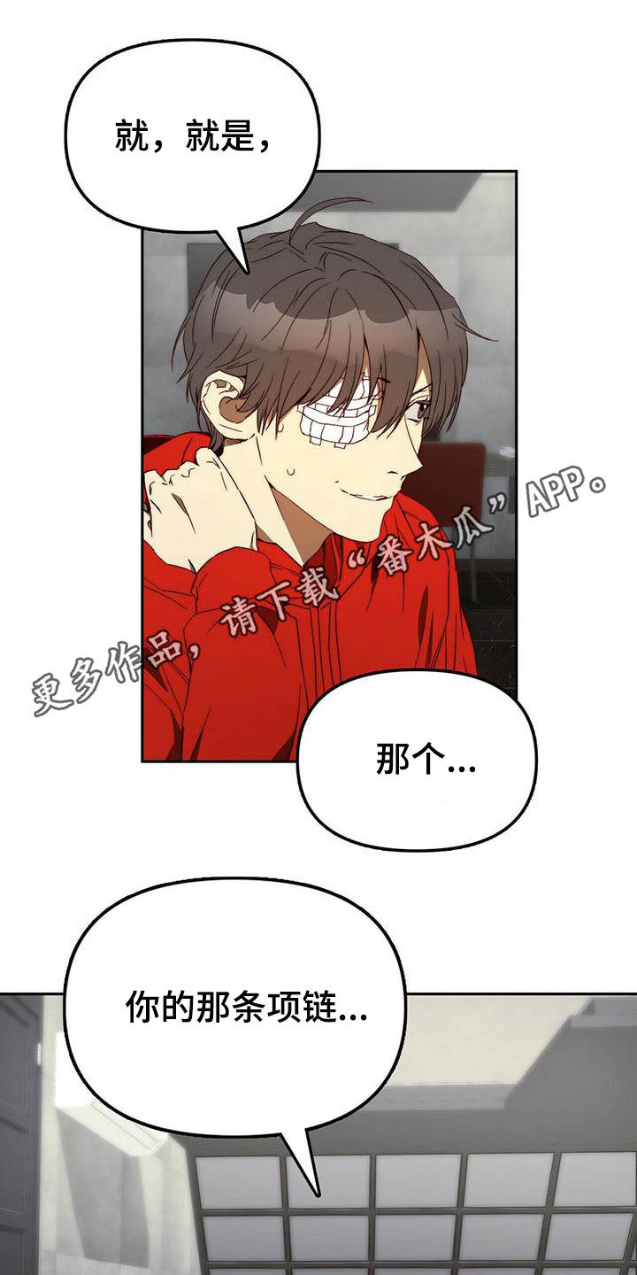《钻石神偷》第25章调虎离山 第1页