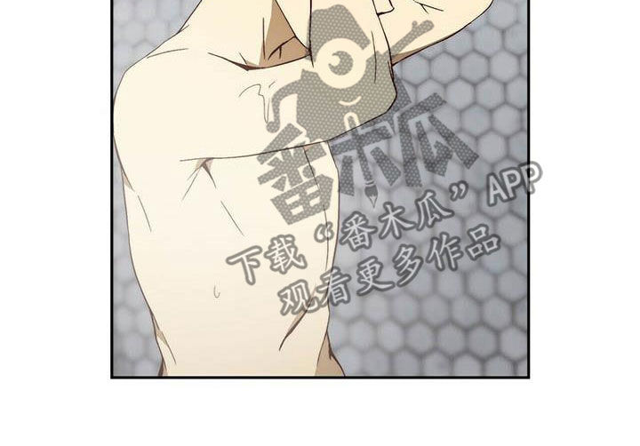 《钻石神偷》第25章调虎离山 第9页