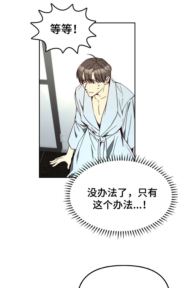 《钻石神偷》第26章示弱 第10页
