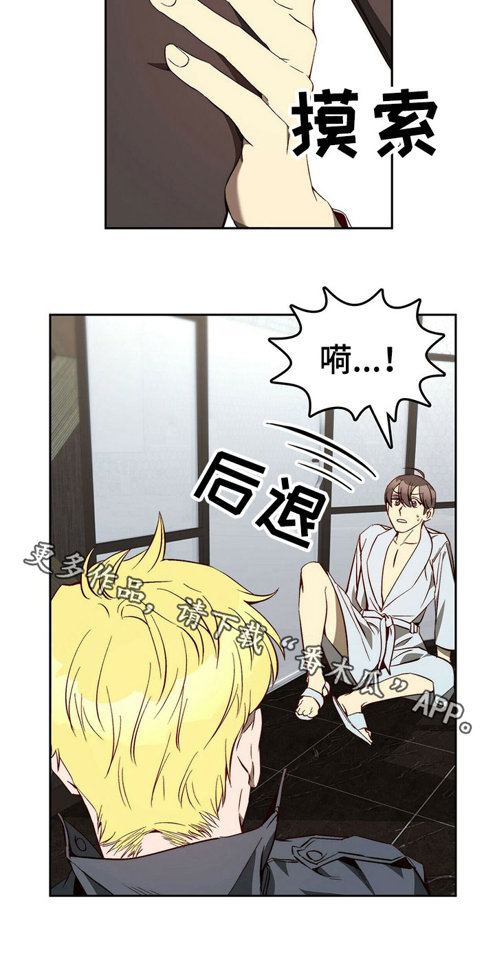 《钻石神偷》第26章示弱 第17页