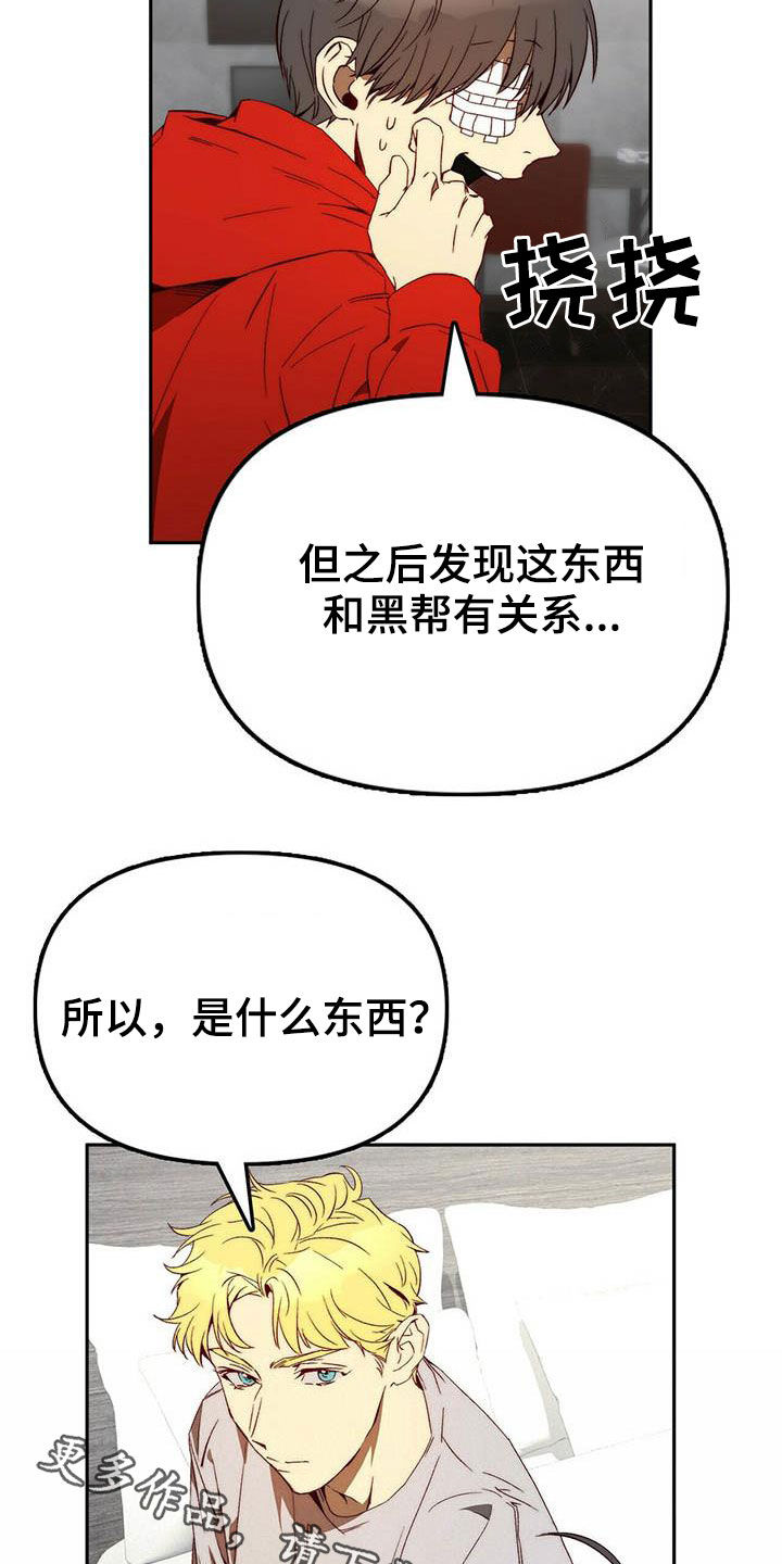 《钻石神偷》第24章逃亡 第17页