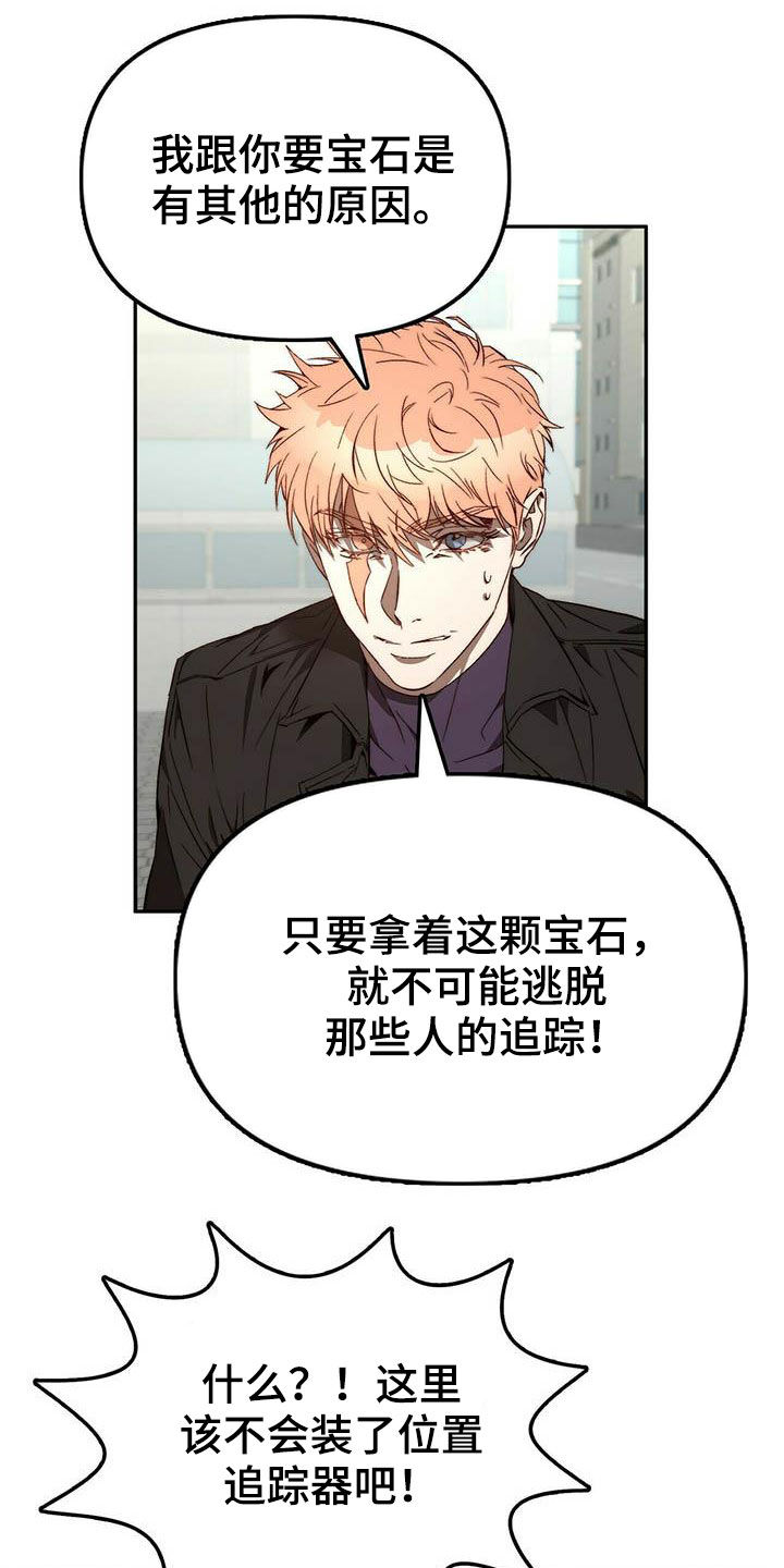 《钻石神偷》第23章脱身 第10页
