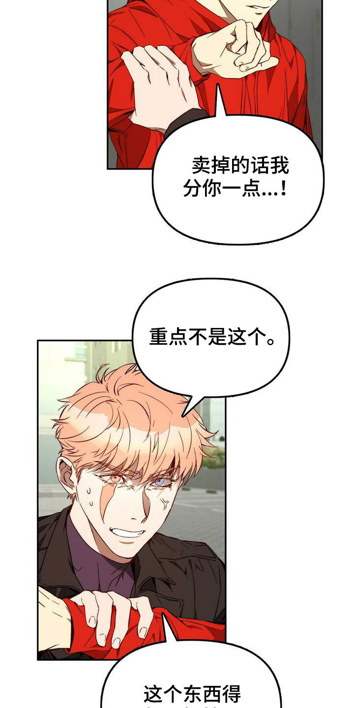 《钻石神偷》第23章脱身 第12页