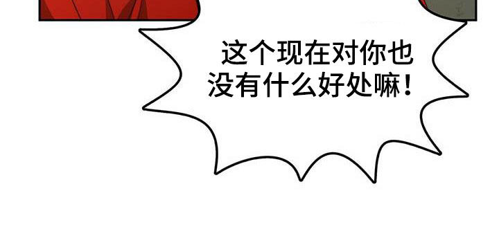 《钻石神偷》第23章脱身 第9页