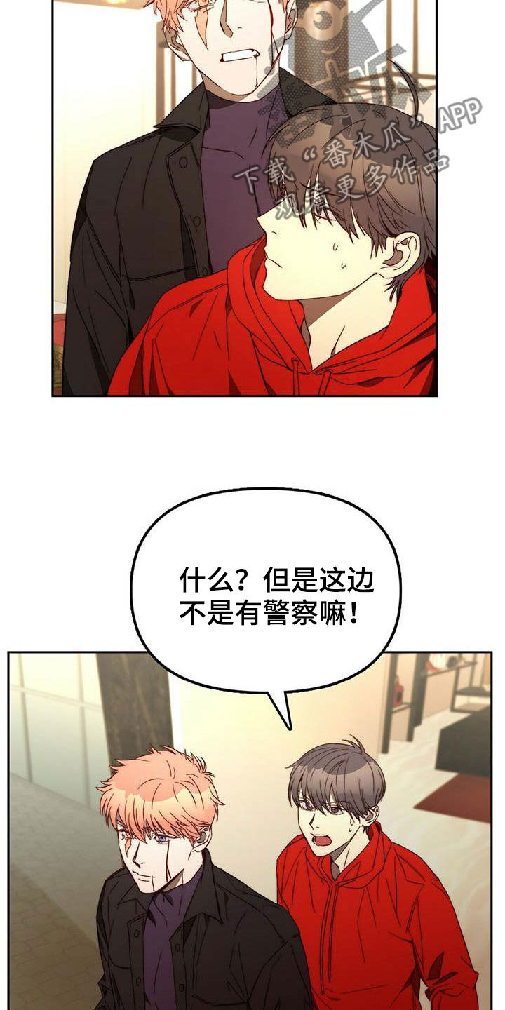 《钻石神偷》第22章虚张声势 第10页