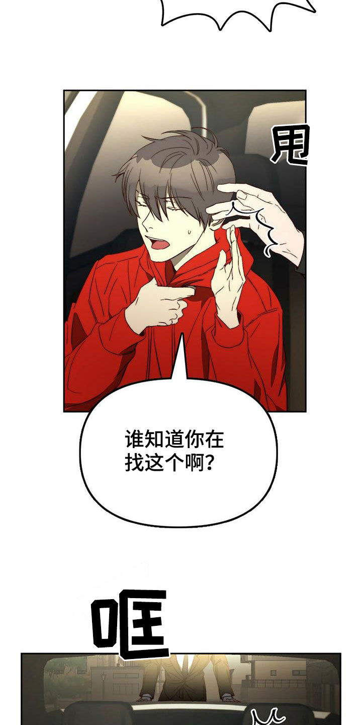 《钻石神偷》第22章虚张声势 第15页