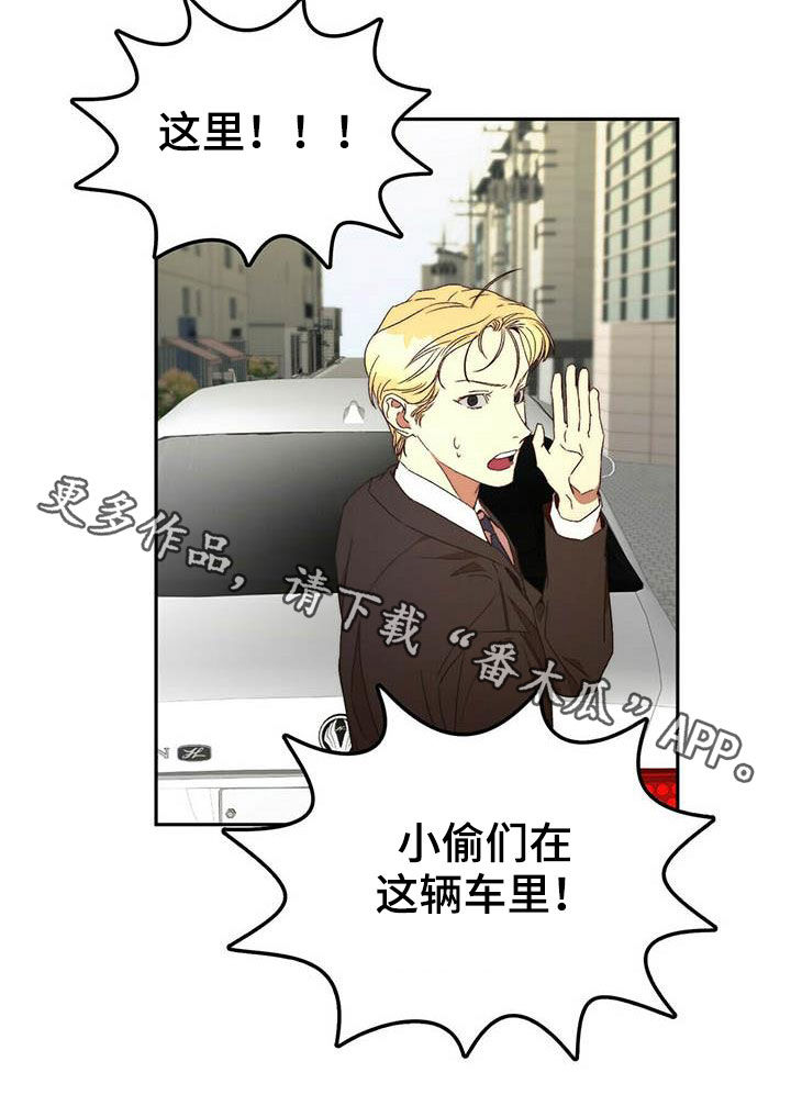 《钻石神偷》第22章虚张声势 第17页