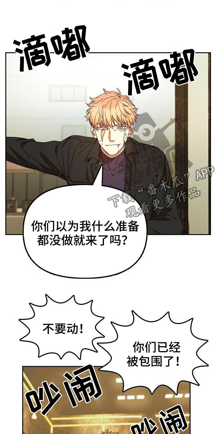 《钻石神偷》第22章虚张声势 第4页