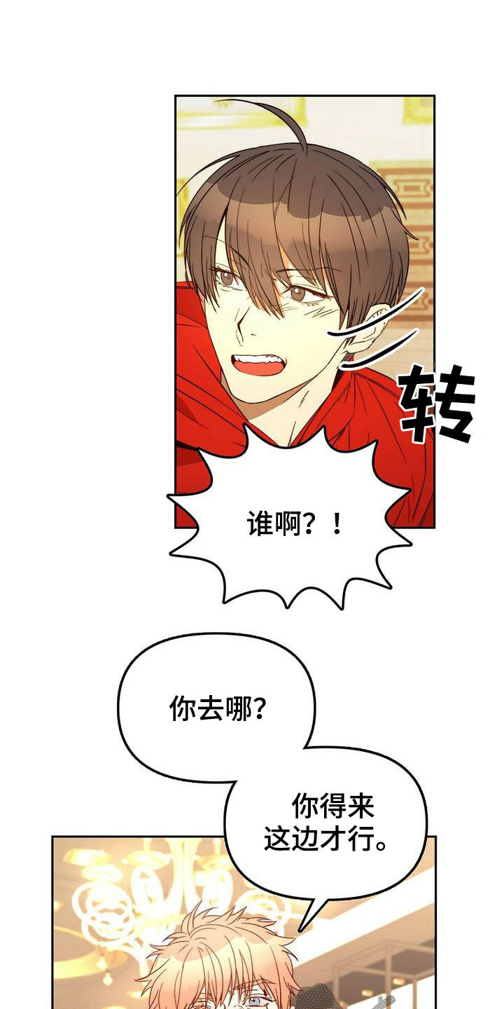 《钻石神偷》第22章虚张声势 第9页