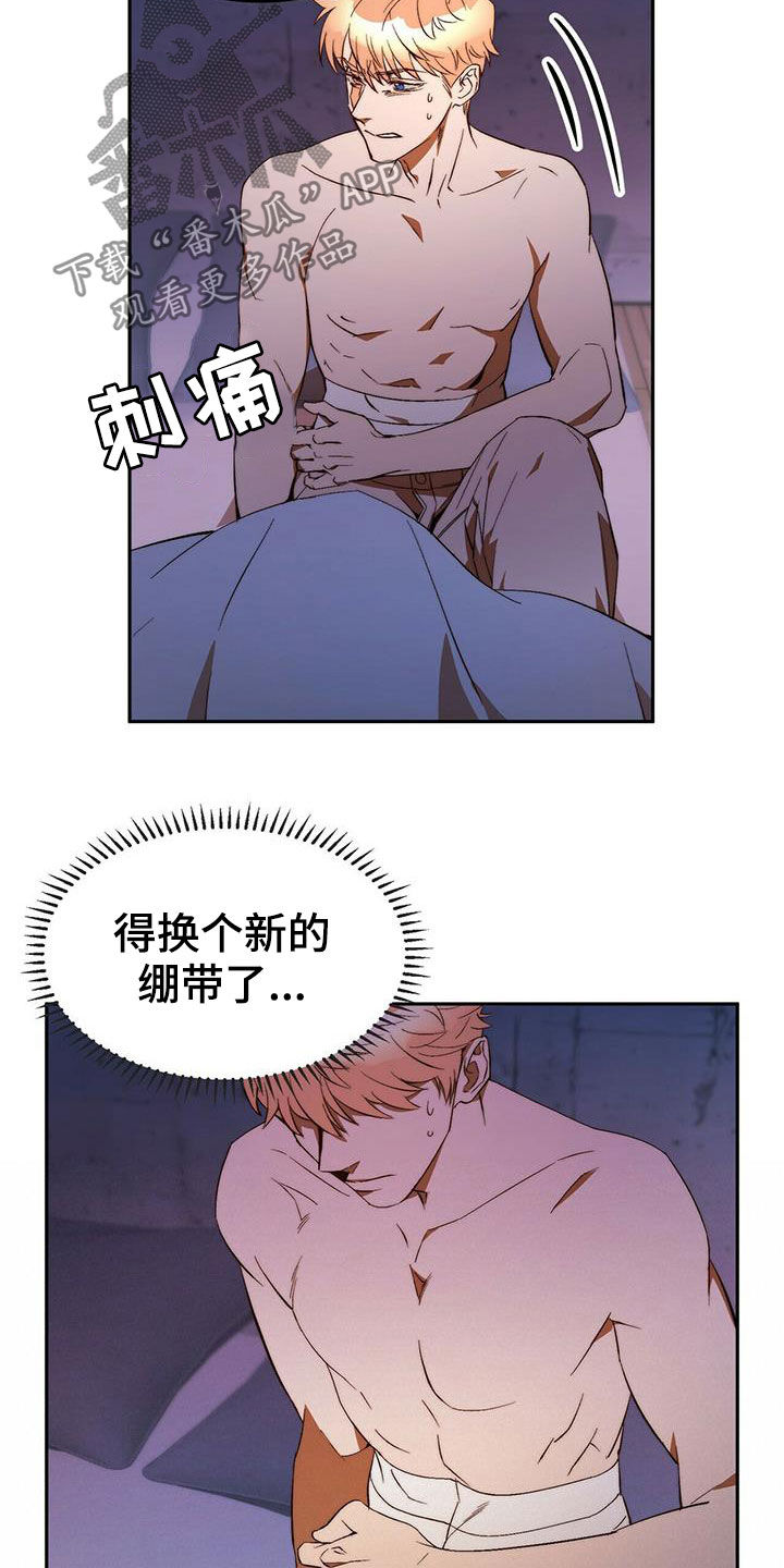 《钻石神偷》第19章担心你 第11页