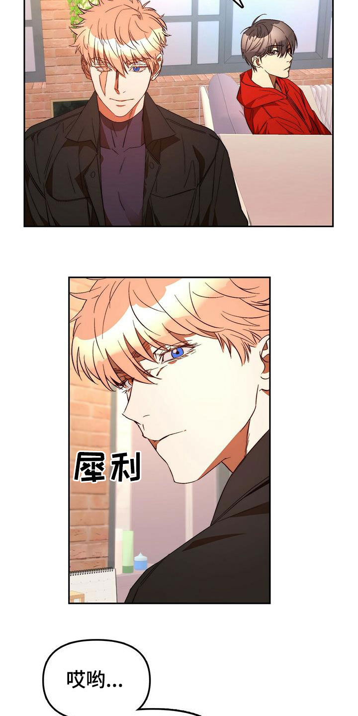 《钻石神偷》第19章担心你 第15页