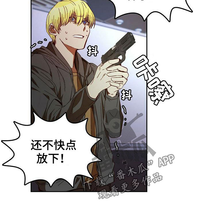 《钻石神偷》第19章担心你 第9页