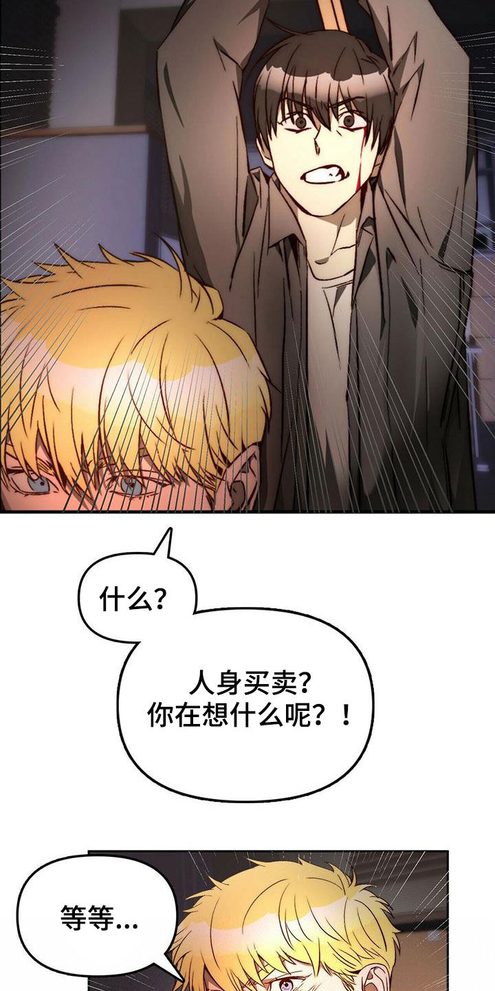《钻石神偷》第20章黑历史 第17页