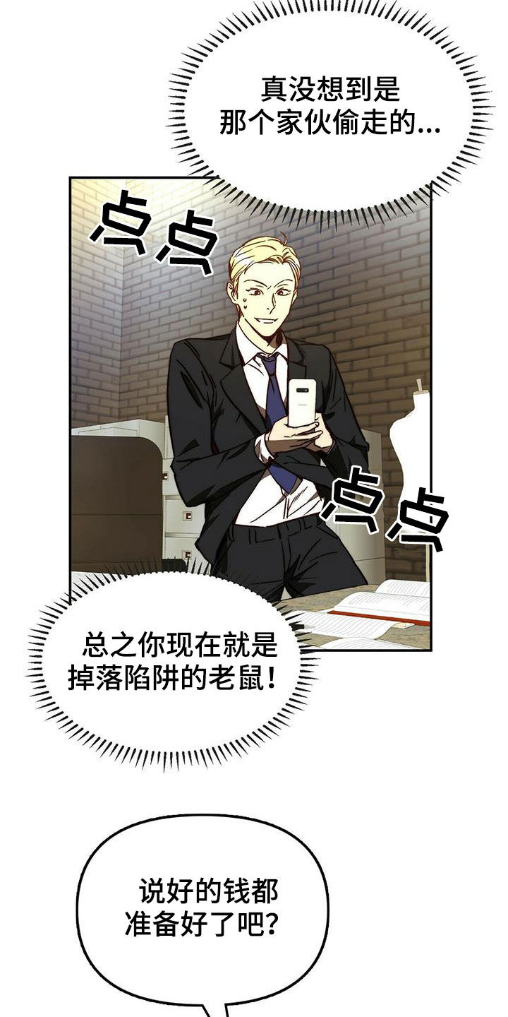 《钻石神偷》第21章陷阱 第12页