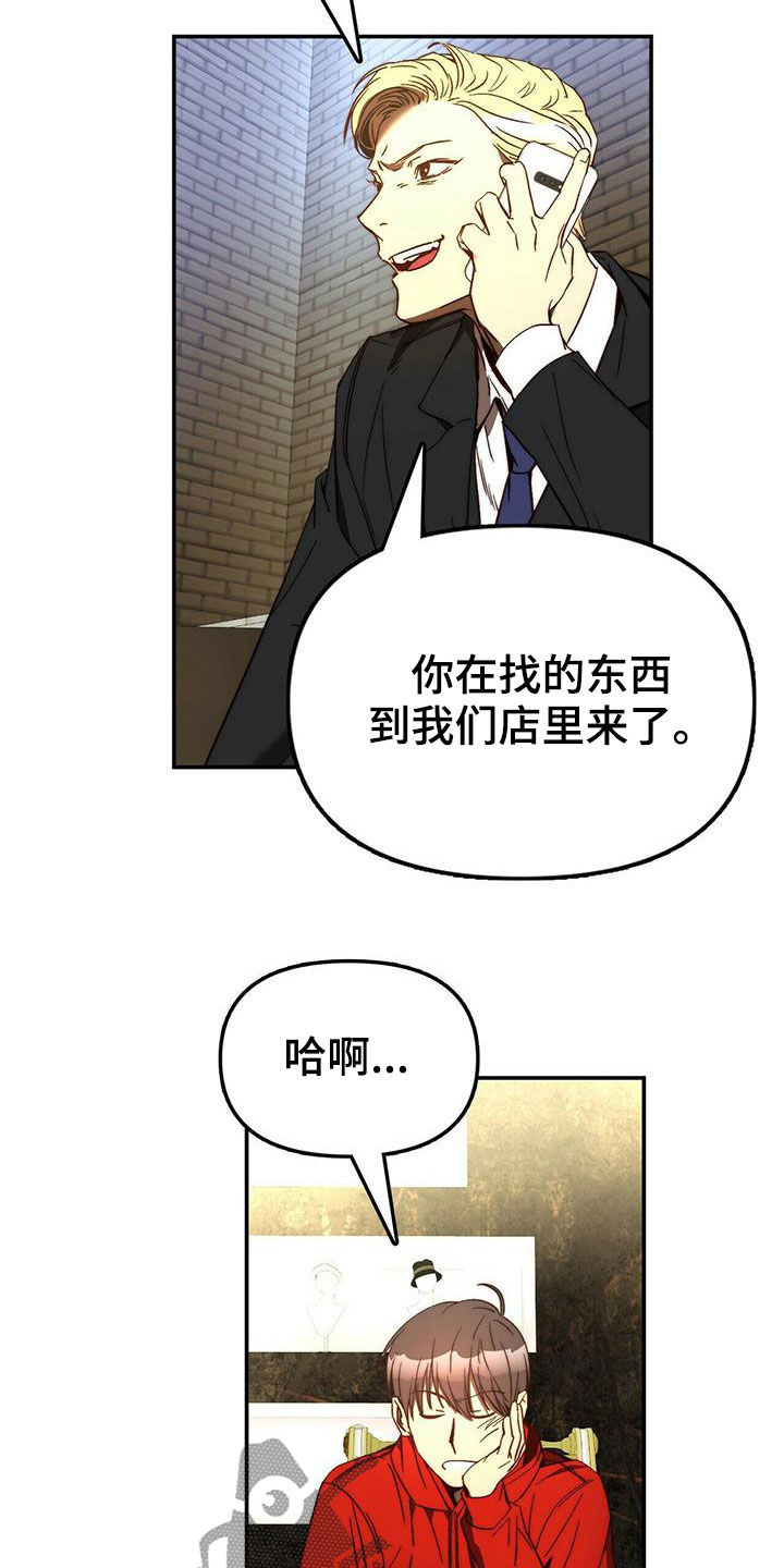 《钻石神偷》第21章陷阱 第13页