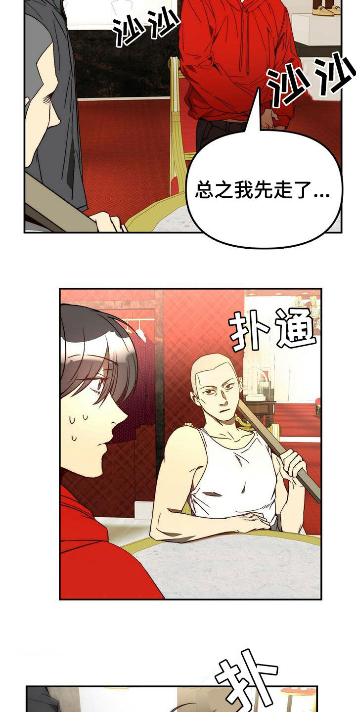 《钻石神偷》第21章陷阱 第17页