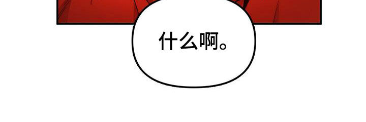 《钻石神偷》第21章陷阱 第6页