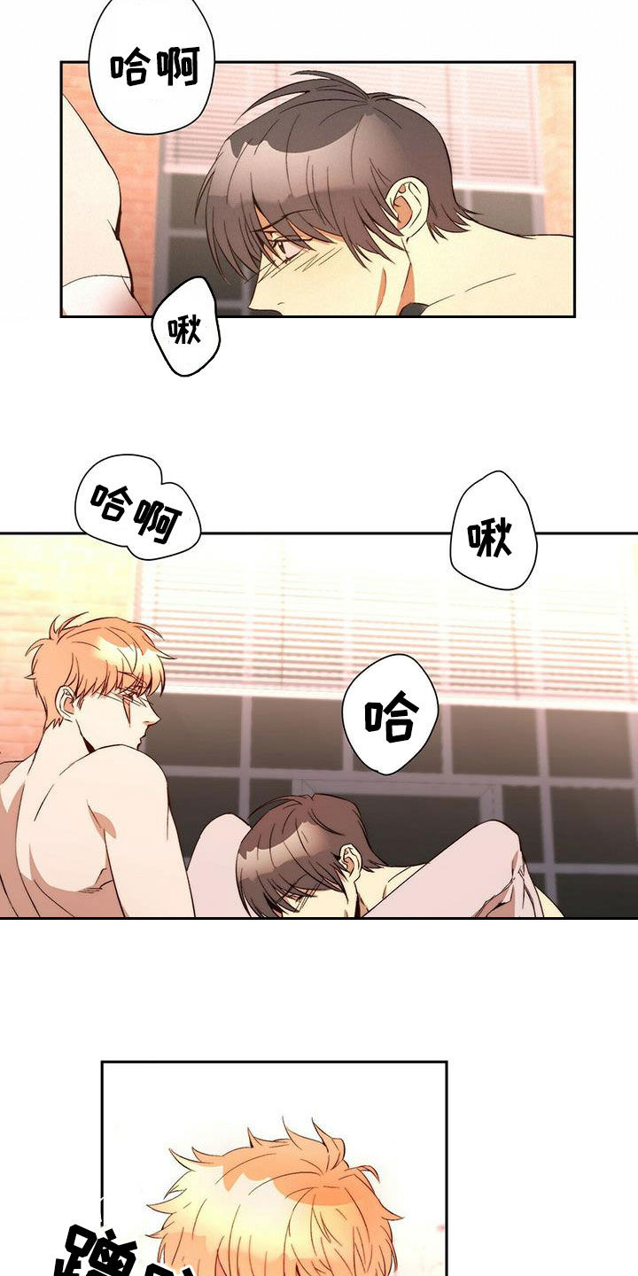 《钻石神偷》第17章晕倒 第13页