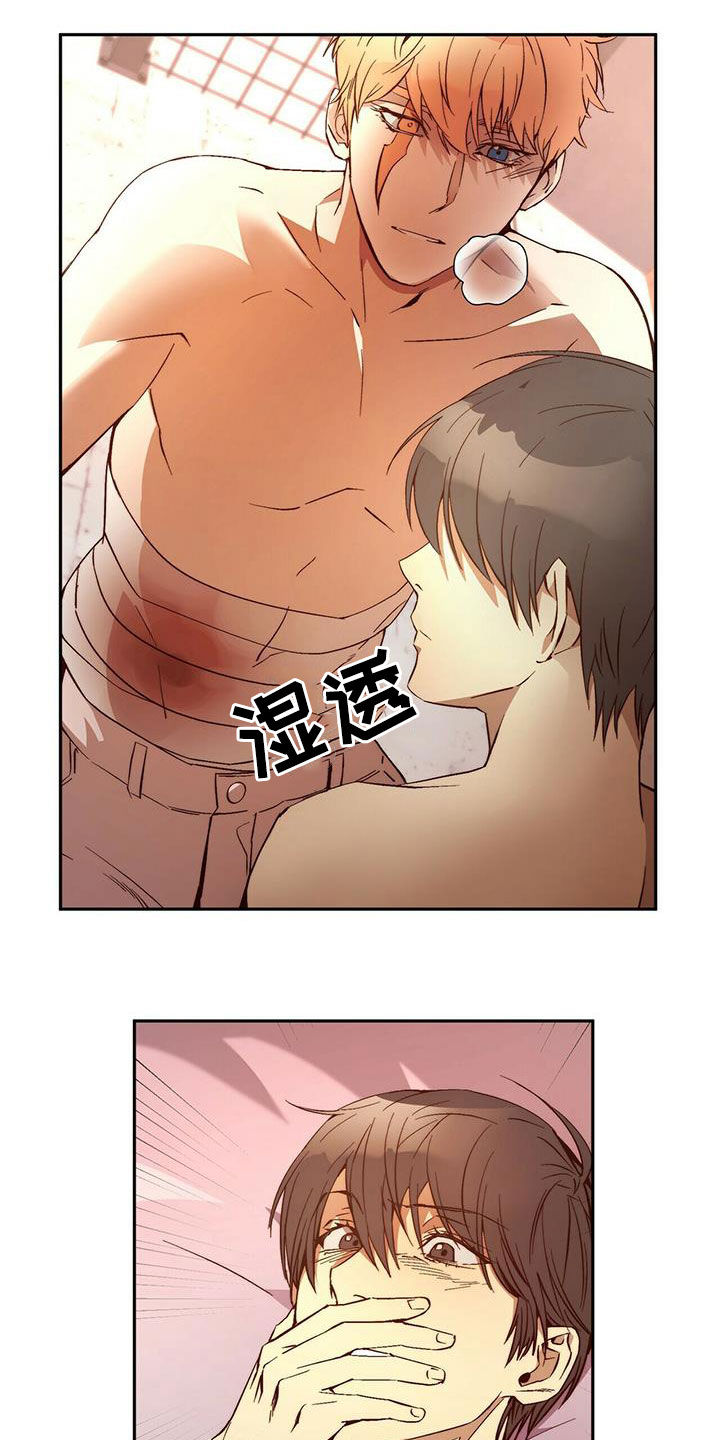 《钻石神偷》第17章晕倒 第5页