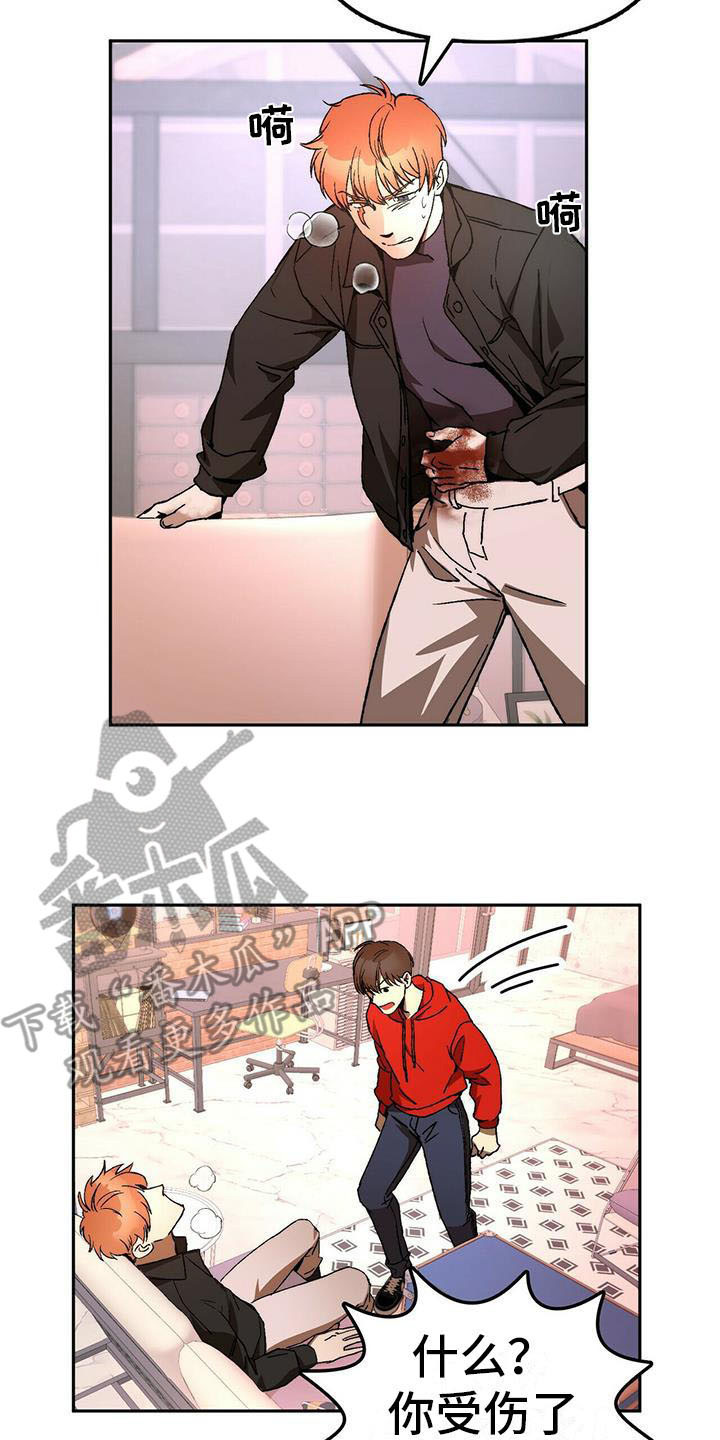 《钻石神偷》第13章受伤 第6页