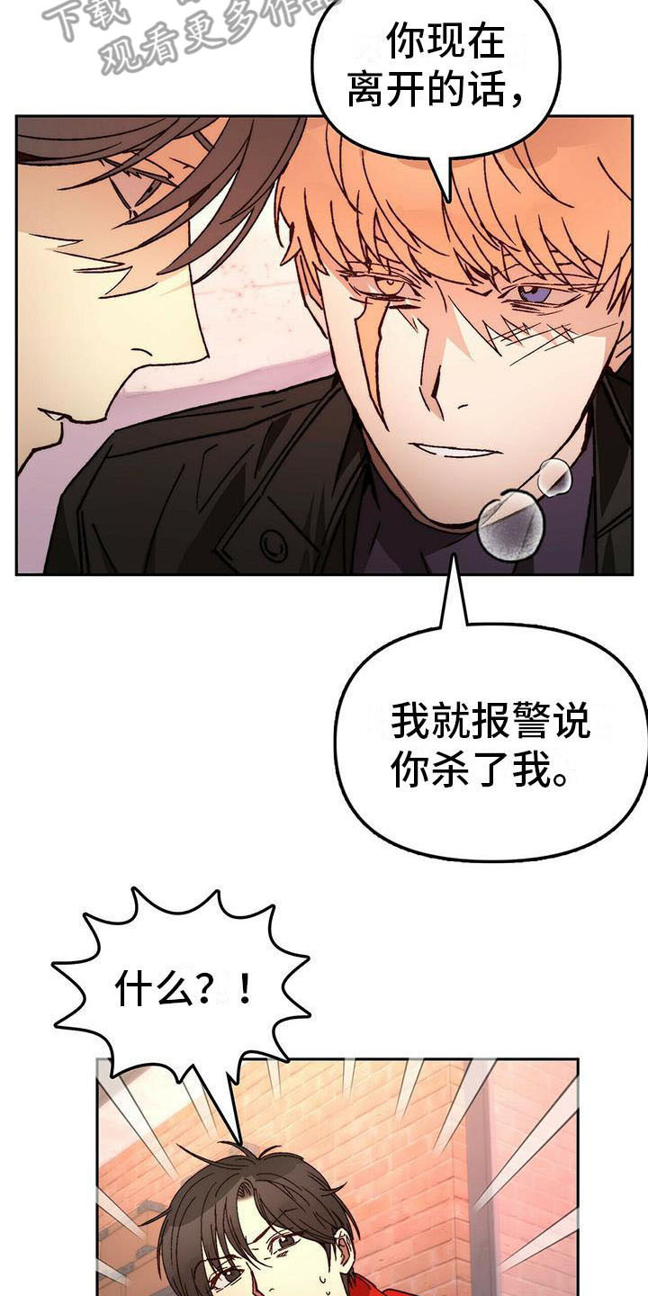 《钻石神偷》第14章请求 第13页