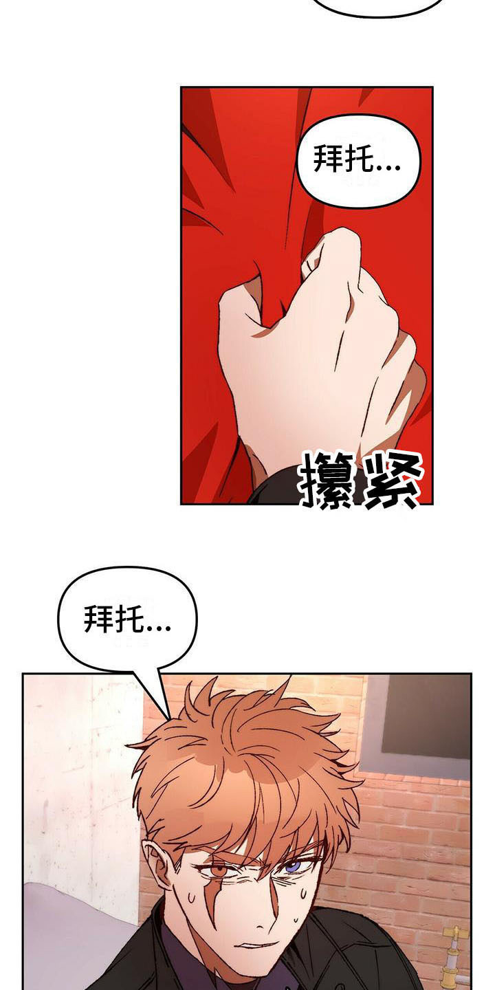 《钻石神偷》第14章请求 第16页