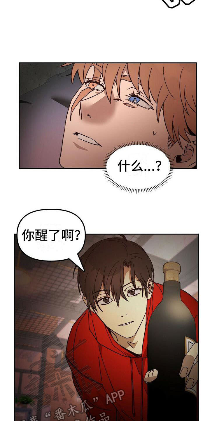 《钻石神偷》第14章请求 第6页