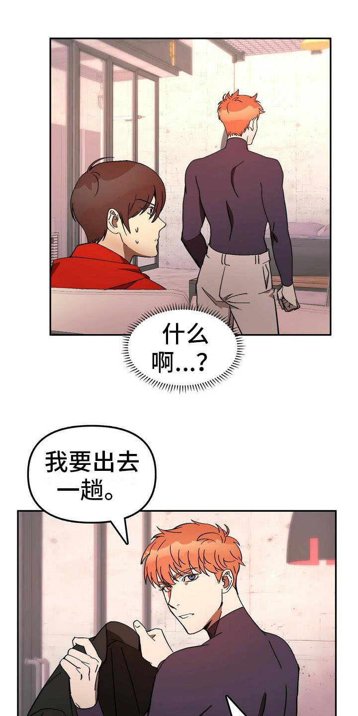 《钻石神偷》第12章出去一趟 第10页