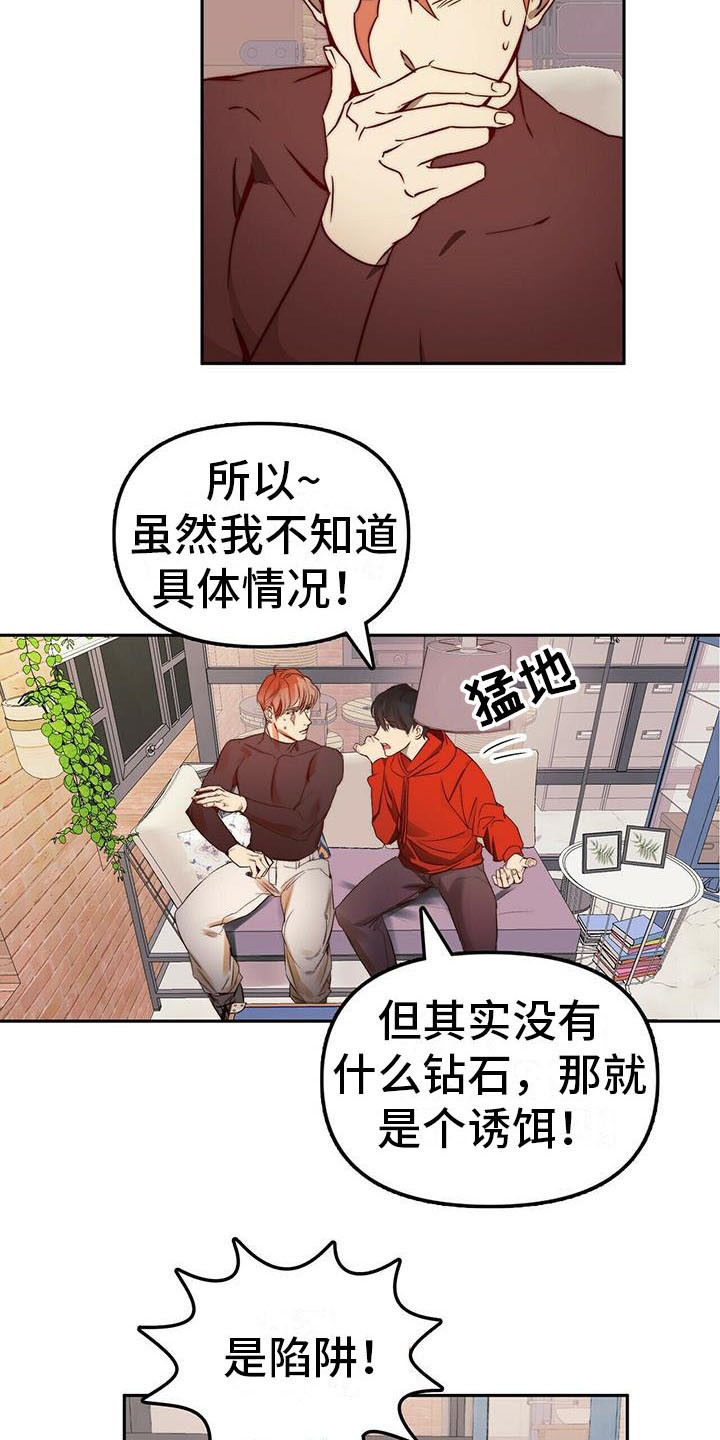 《钻石神偷》第11章忽悠 第13页