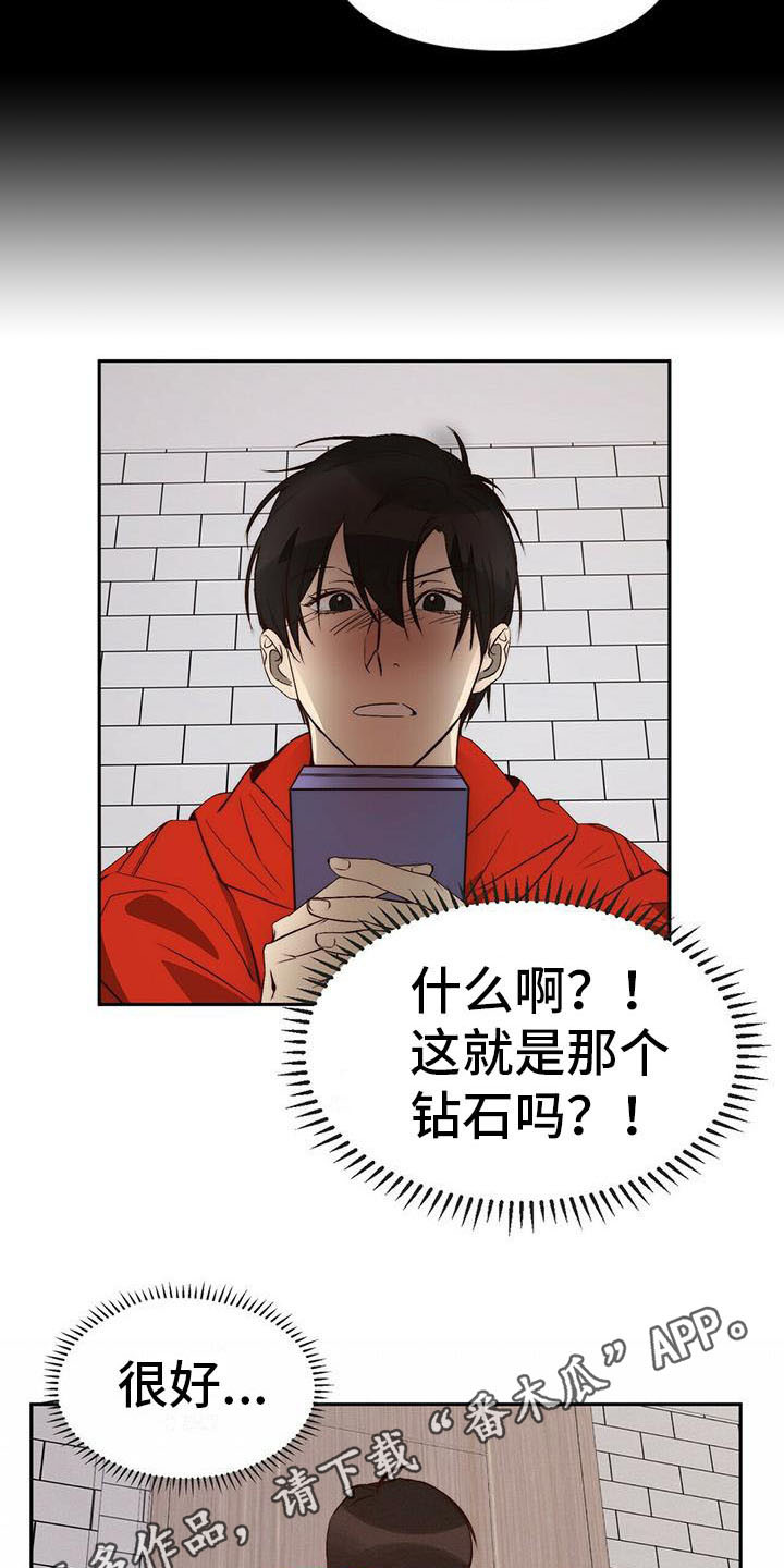 《钻石神偷》第11章忽悠 第4页