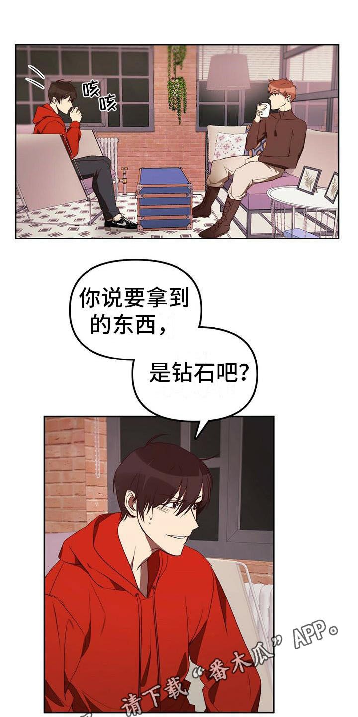 《钻石神偷》第11章忽悠 第9页