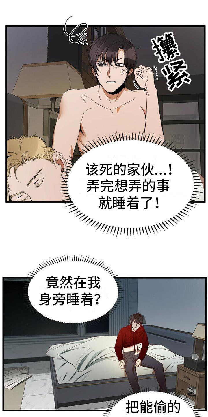 《钻石神偷》第8章宝石盒 第13页