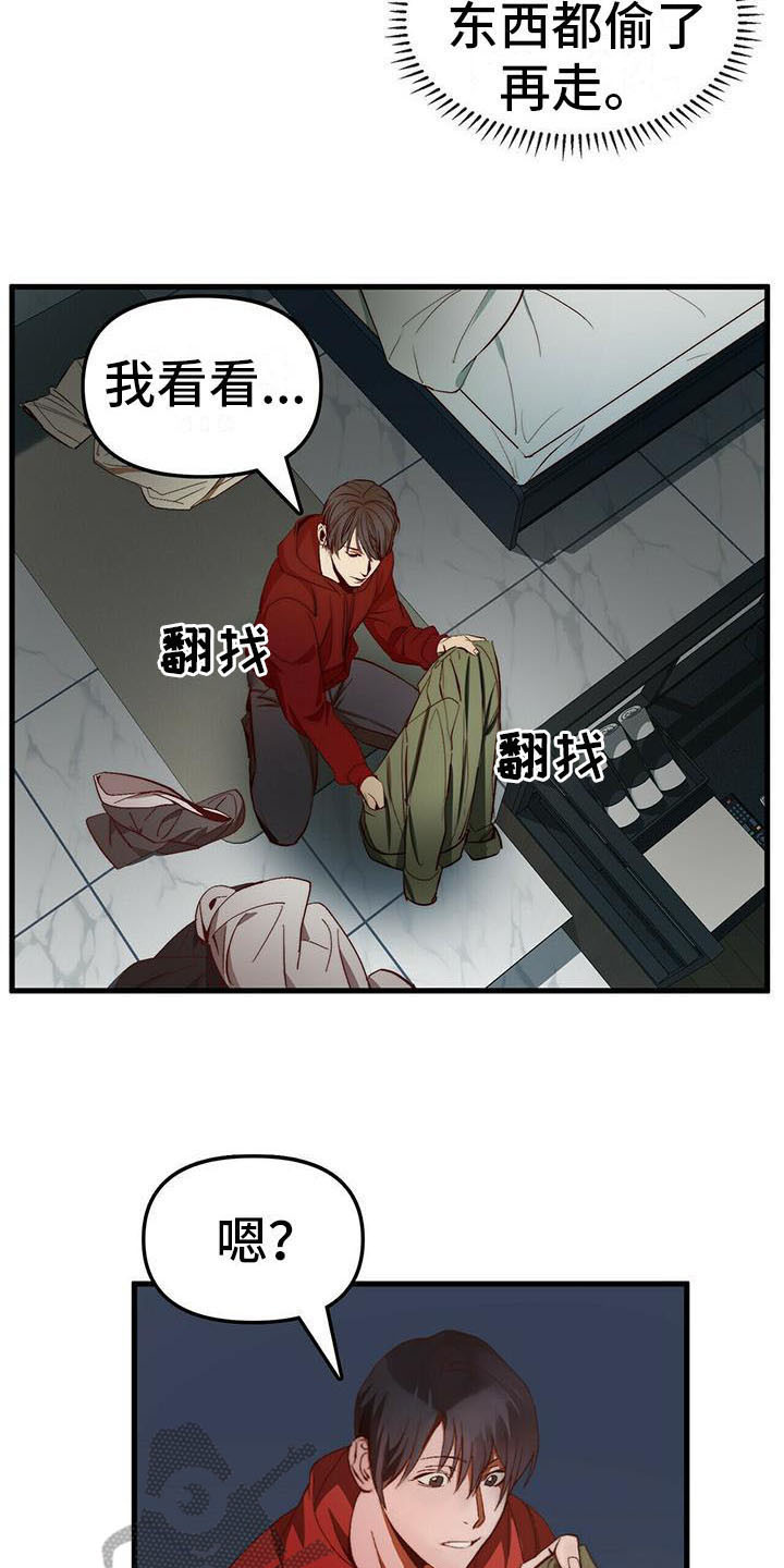 《钻石神偷》第8章宝石盒 第14页