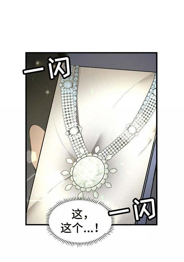 《钻石神偷》第8章宝石盒 第17页