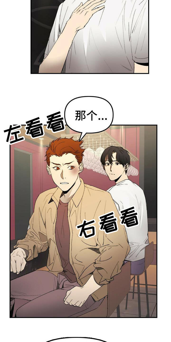 《钻石神偷》第2章条件 第5页