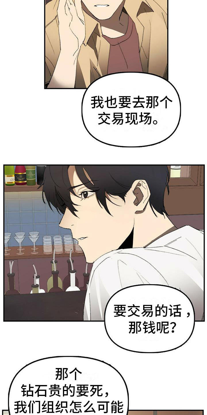 《钻石神偷》第2章条件 第7页