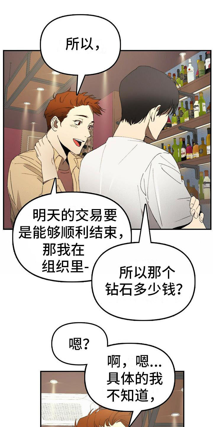 《钻石神偷》第2章条件 第9页