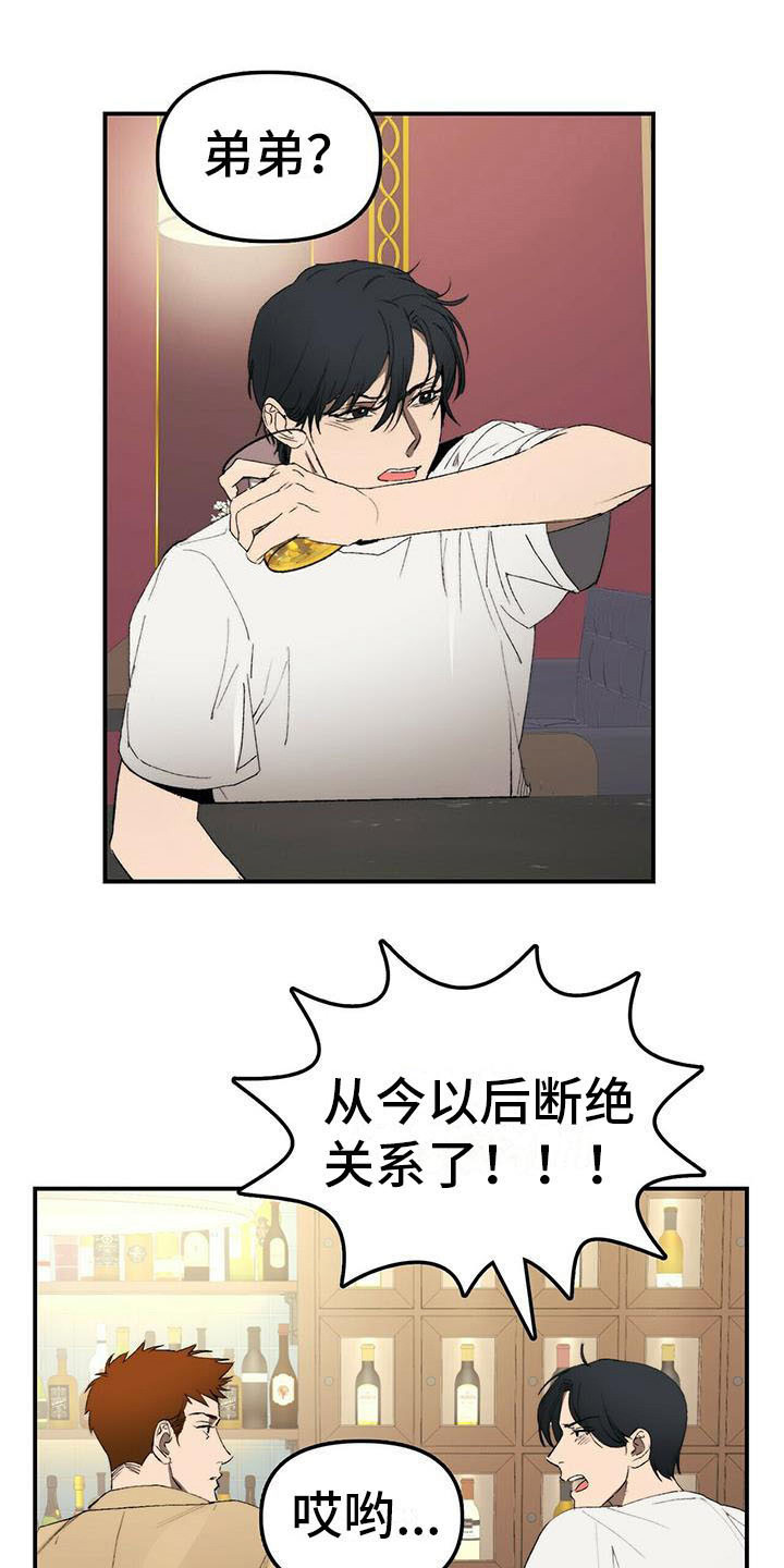 《钻石神偷》第1章欠债 第15页