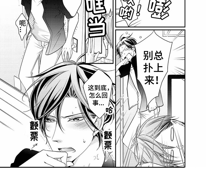 《异样症状》第6章崇拜 第10页