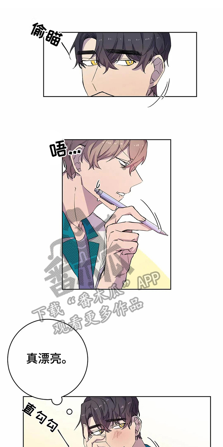 《恋爱斗争》第30章密码 第1页