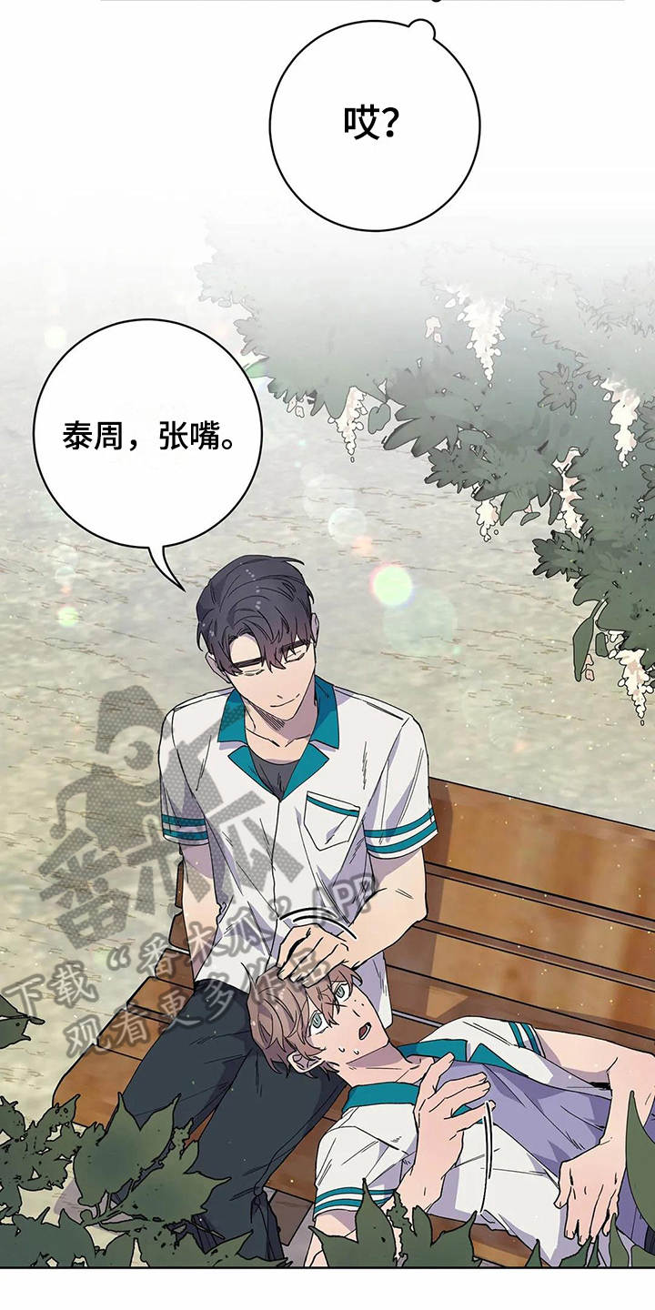 《恋爱斗争》第28章心动 第14页