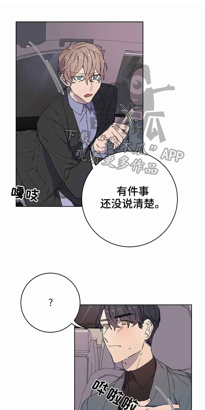 《恋爱斗争》第25章伴侣 第1页