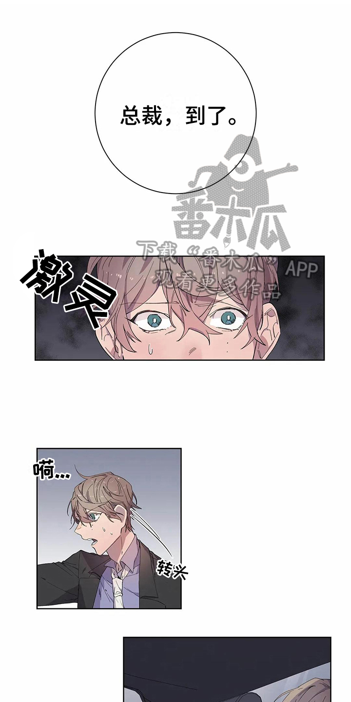 《恋爱斗争》第17章商量 第1页