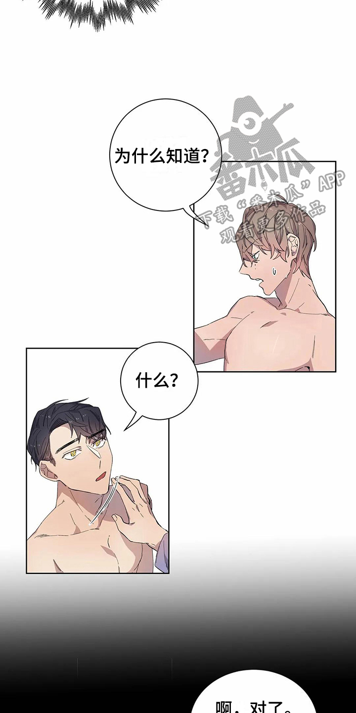 《恋爱斗争》第16章梦 第13页