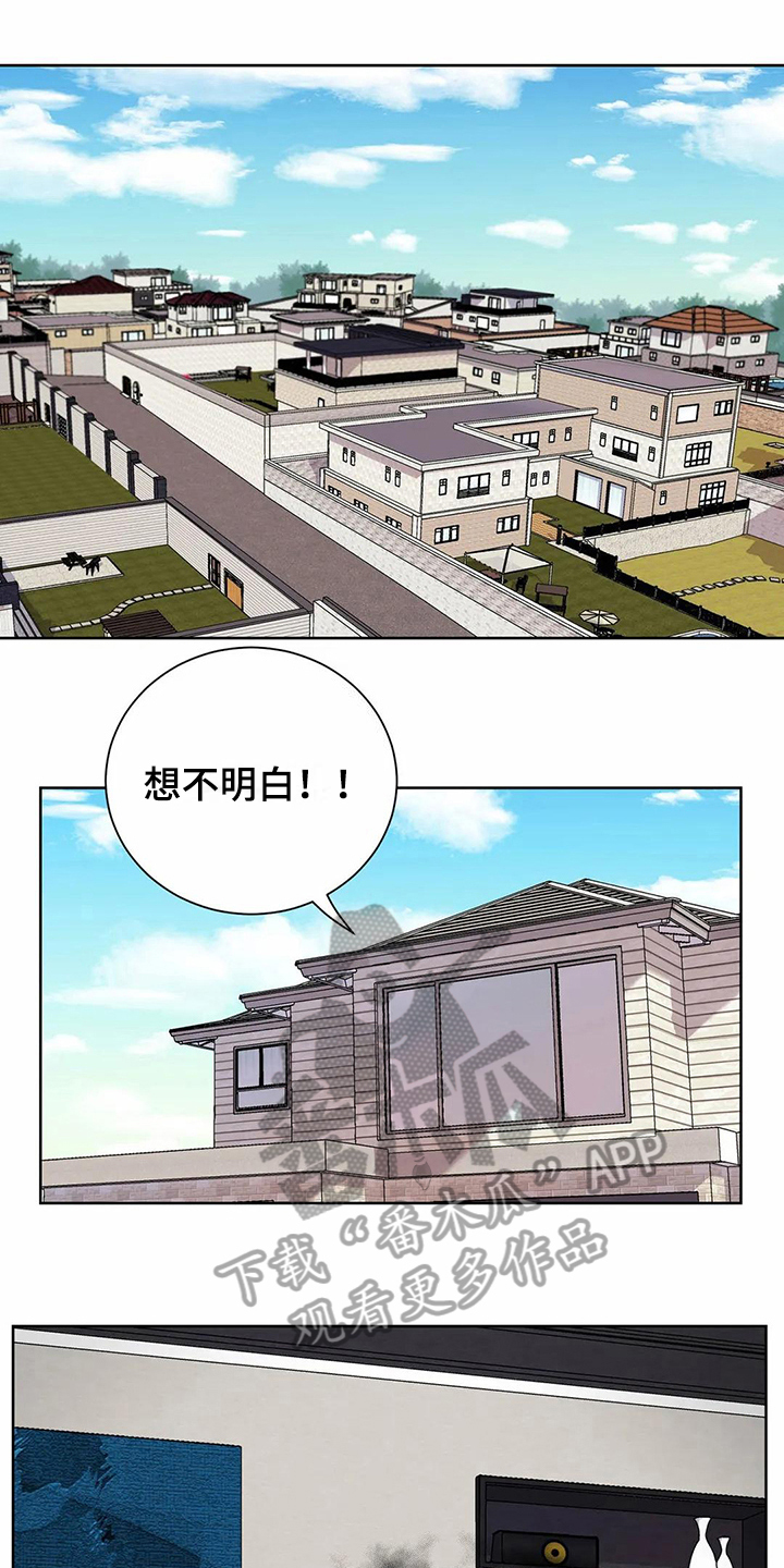 《恋爱斗争》第10章到手 第13页