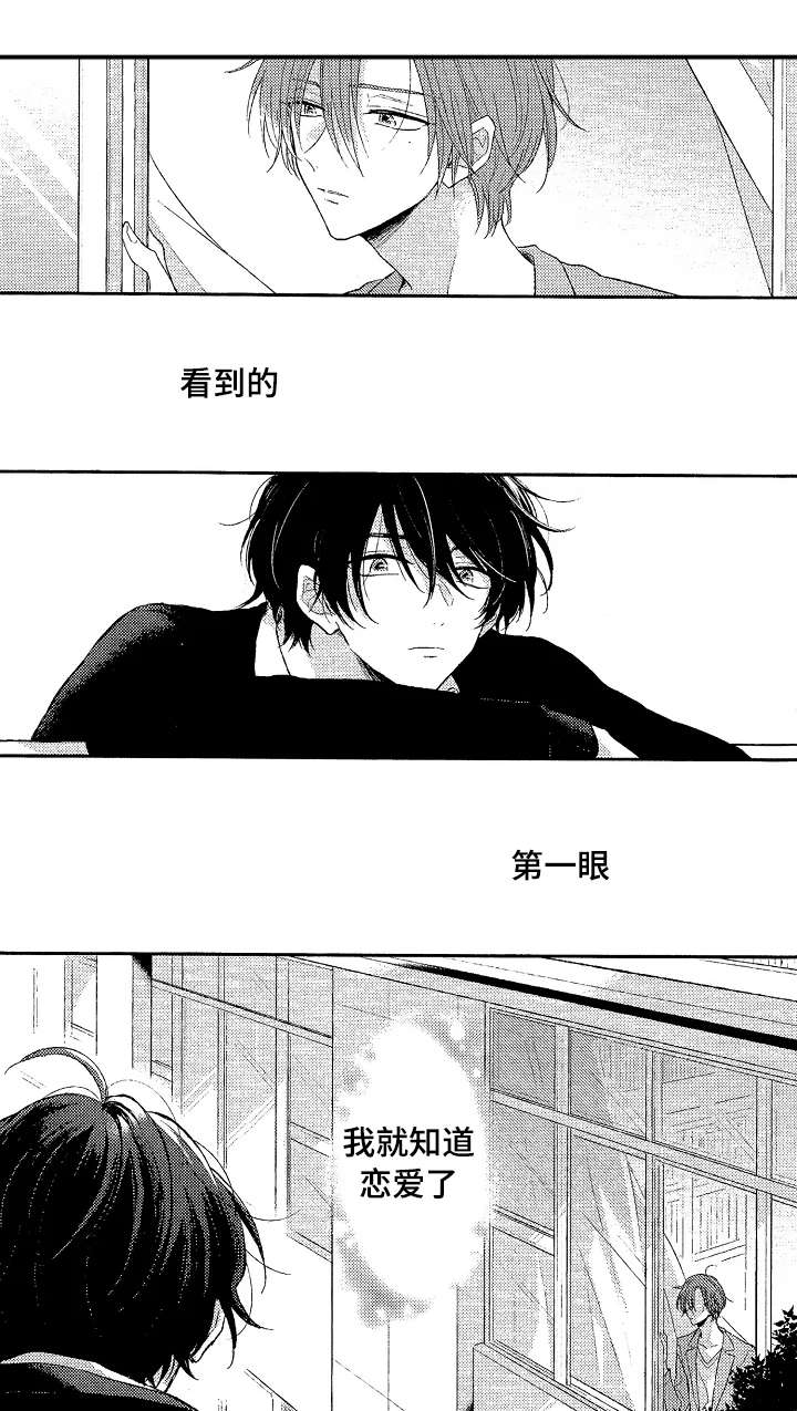 《单相思联盟》第1章一见钟情 第1页