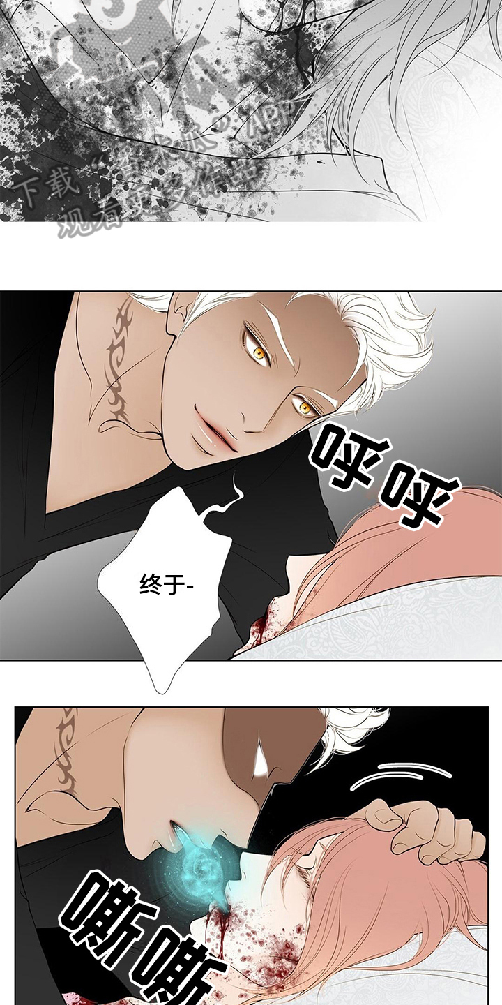 《灵魂争夺》第30章中计 第9页