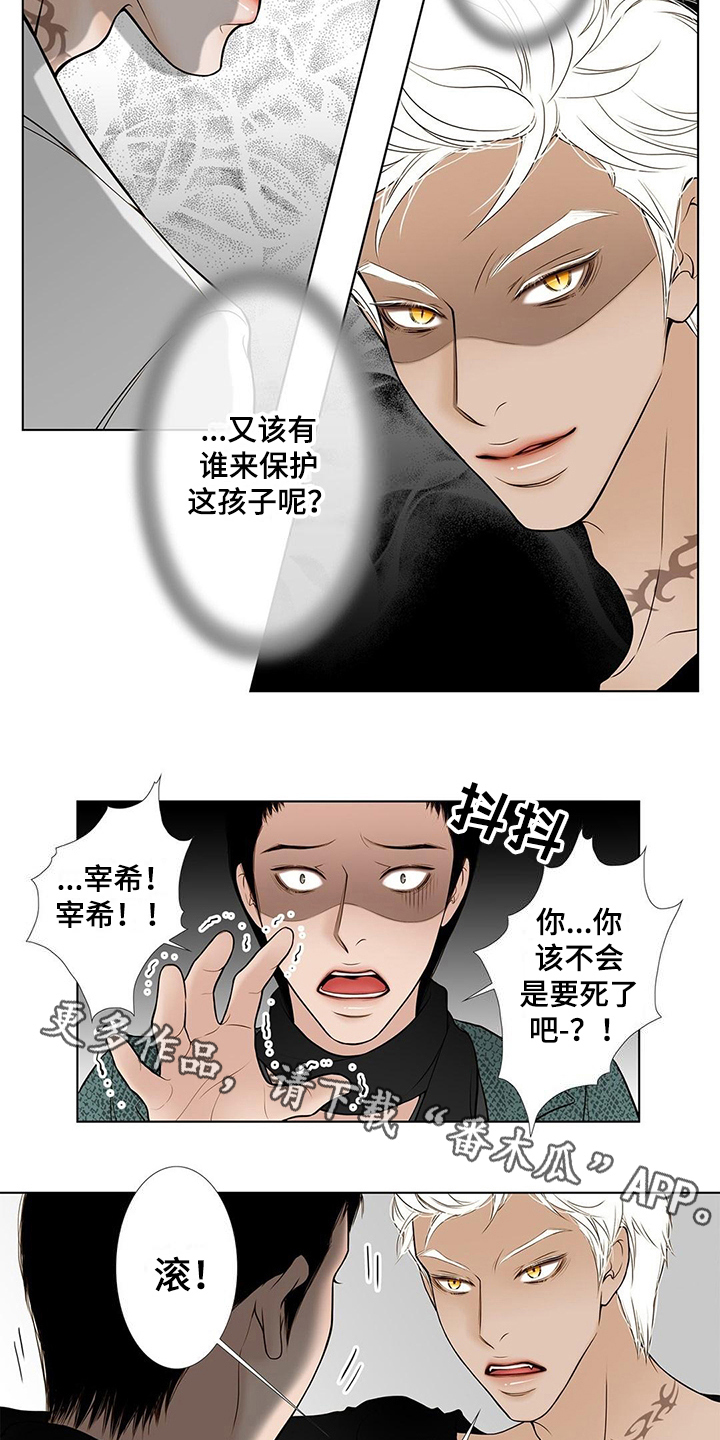 《灵魂争夺》第29章担忧 第10页